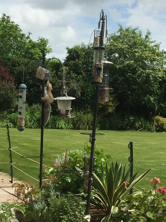 Castle Farmhouse Bed And Breakfast Glenfield 외부 사진